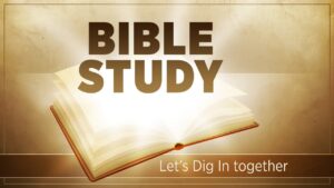 New Bible Learning Opportunity